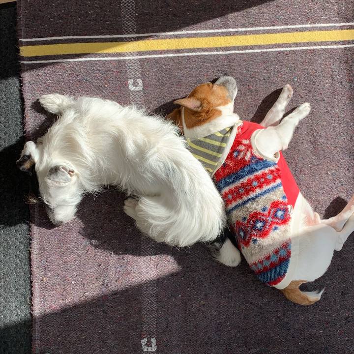 7caead86 dfe8 4697 9fe2 ae9cc6b8b14f 1609987589528