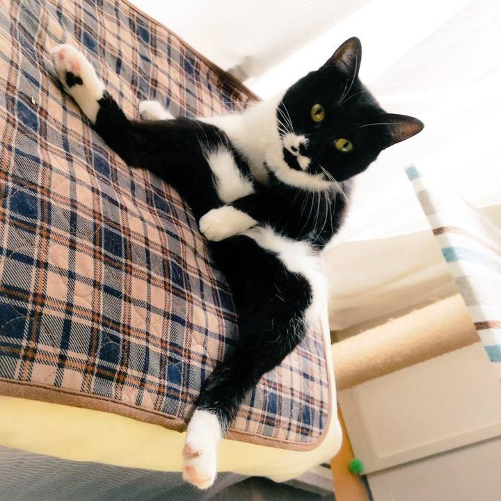 7caeaf0c 7aac 4e94 8a90 f62a2c7e9fea 1556495092689