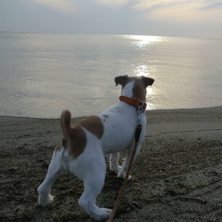 7caee1f3 245d 4677 bfc4 84d4cca0cd79 1572517923174