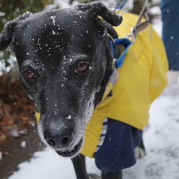 7caf47b2 43b2 48c2 b969 34d1306845de 1770508781568