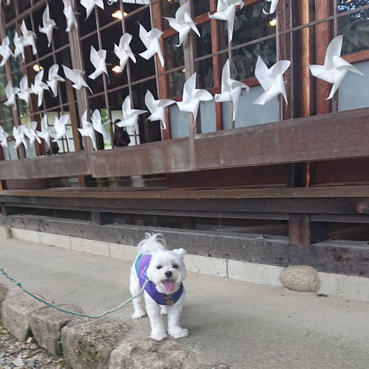 7caf5181 2675 4801 bbc9 8e3637246cfb 1662499709765