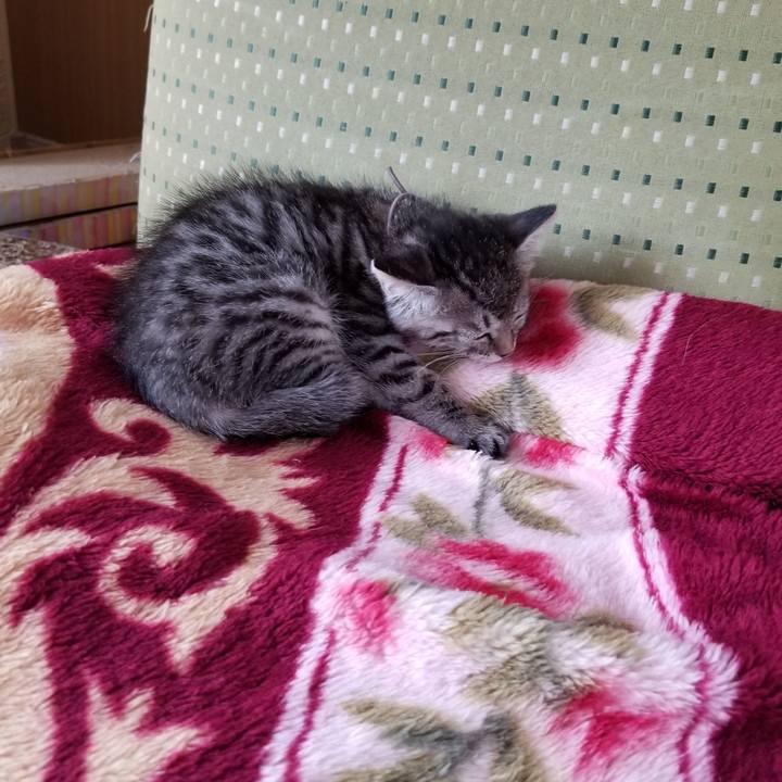 7cafa5a5 8db9 46af bdcd df7b590f799a 1661490998919