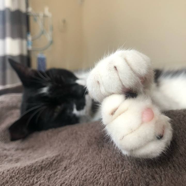 7cafadfd 2416 4698 885c 383784bf8cdf 1596891809669