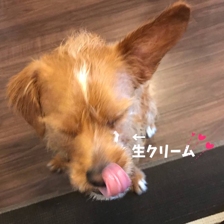 7cafc268 f21a 4c72 9f75 efa3b8d84ad5 1562194522452