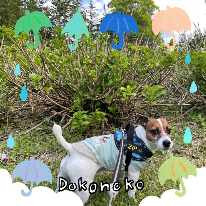 7cafdb6a 2495 4506 9f28 cf4f6fe57318 1717578762223