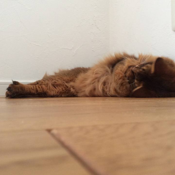 7cafe296 1591 4e24 8feb b53e7a1219b8 1629942496034