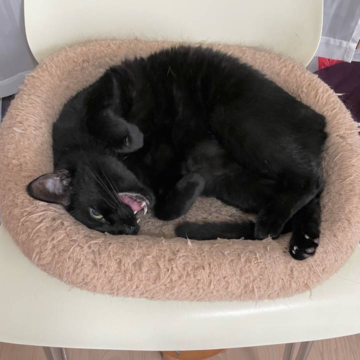 7caff72e bd5f 43af 9a64 02f81eb26642 1683437777400