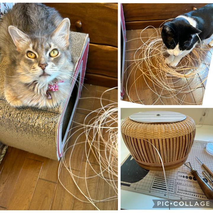 7cb03206 50cd 485e 9fcf ed957a5e1feb 1763993415601