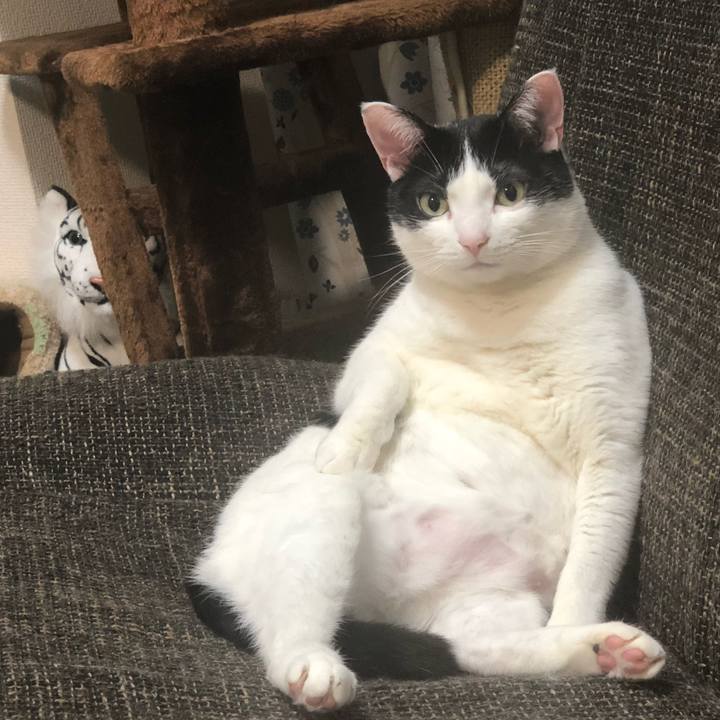 7cb0431c 48a2 49ea a949 09823160e194 1519915618294