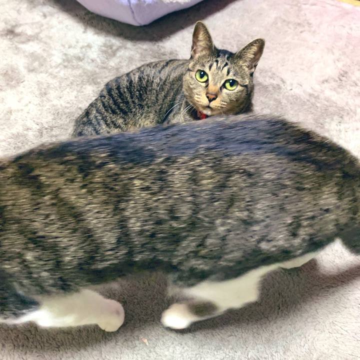 7cb06009 d369 48d3 998e 844089e4860a 1581689222858