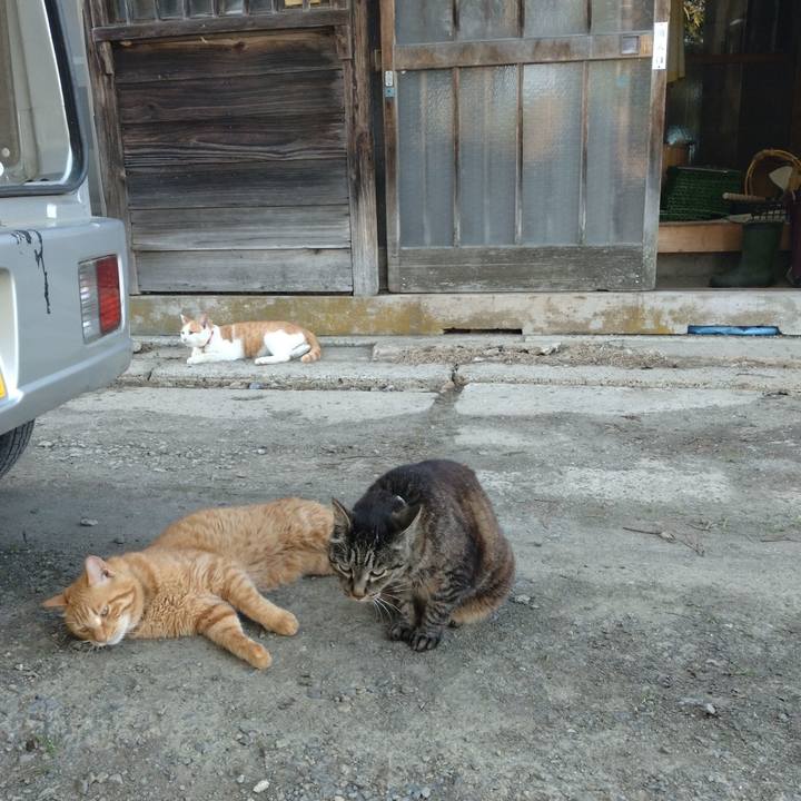 7cb0761a 7664 48b2 9344 22428525d05b 1750153773969