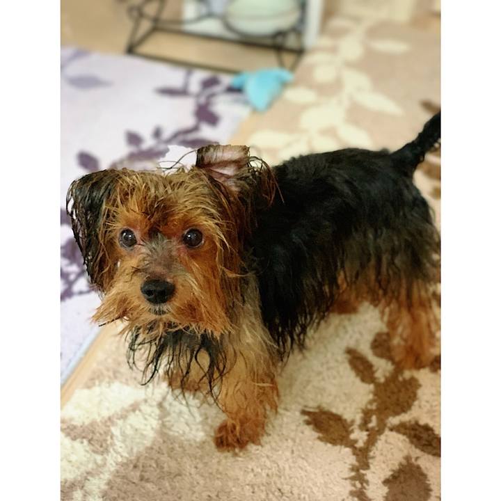 7cb08ed5 6a20 4300 aee4 725ae971a80e 1563086622614