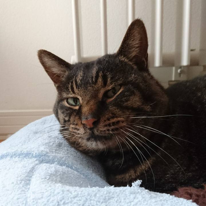 7cb09d0a b099 49ba bb70 621cf54b9a78 1548388910095