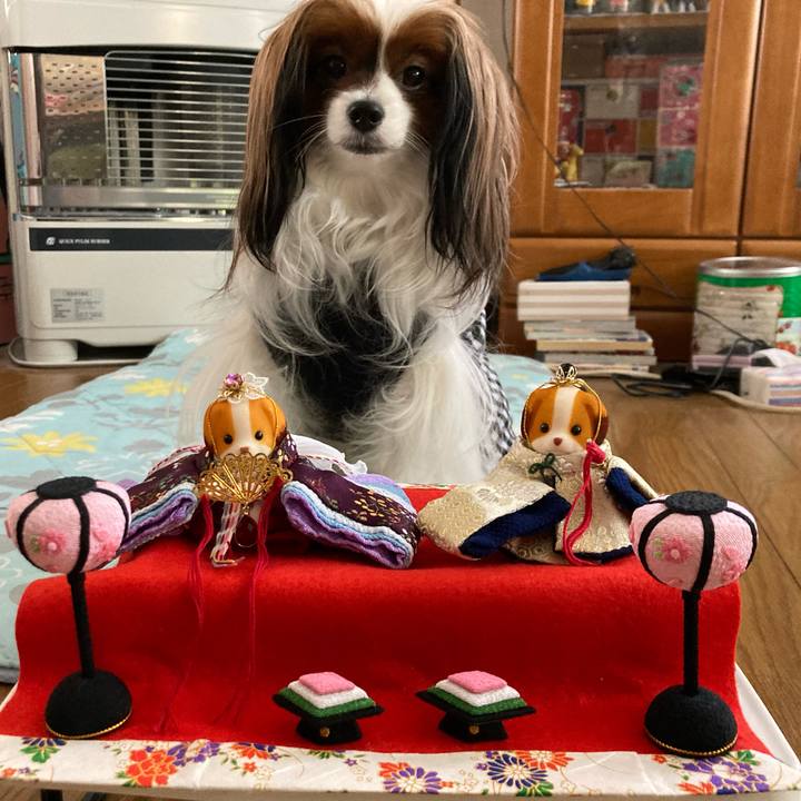 7cb0a667 19a2 44e7 962a e24b8e0afee3 1676437355120