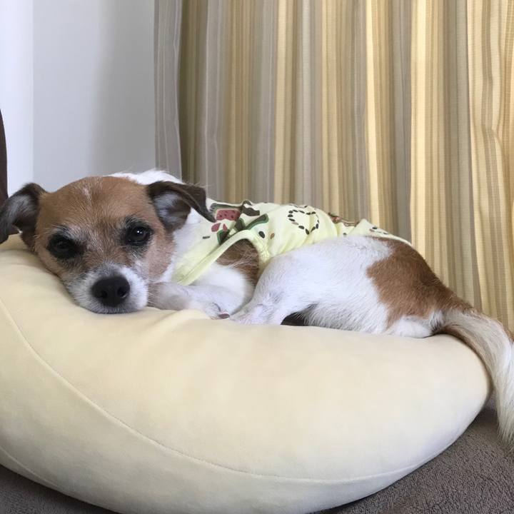 7cb0c7bb 892b 4088 a38c eac45194b553 1533263278241