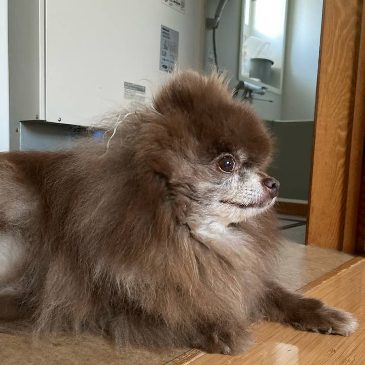 7cb0dec4 bd21 4a2b b824 65d8a2c42045 1727217403628