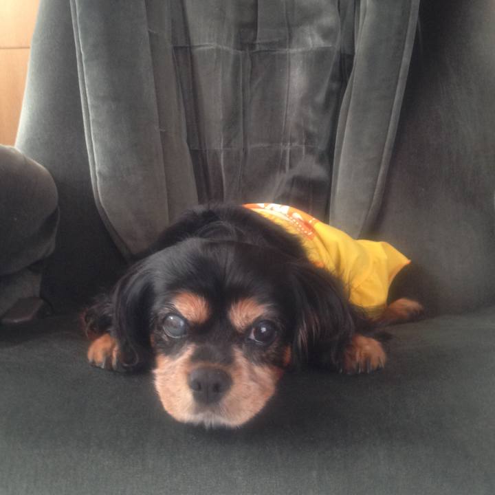 7cb0f12f 0f3b 4978 b58b 9b4a93bace04 1615006464635