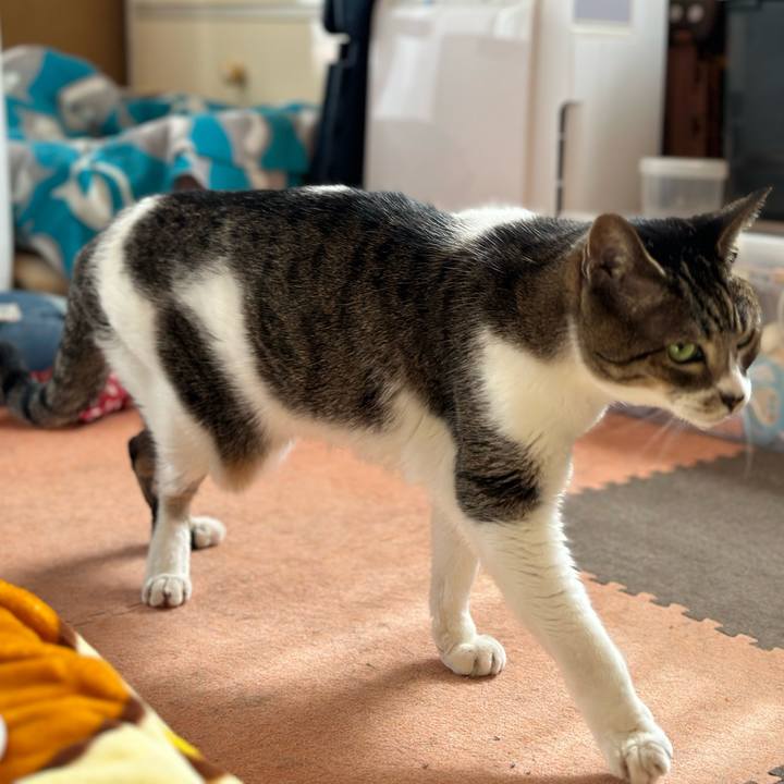 7cb0f515 5618 4d20 a047 11a3c9960d14 1665887273428