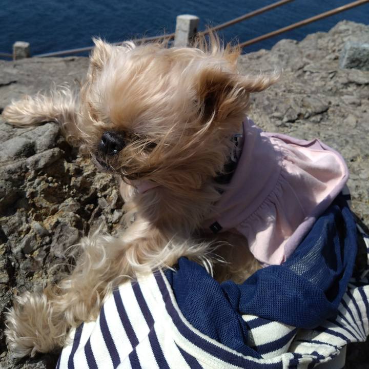 7cb1075b 2f89 44e5 bc13 2b95c801a12c 1679369408545