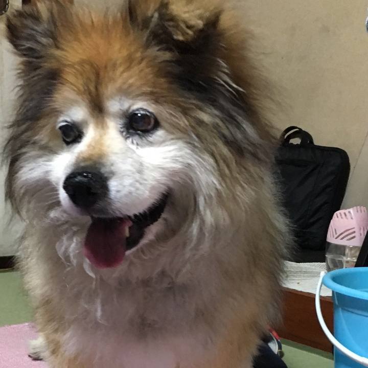 7cb10b49 aa71 4f0a bf2a eb6137d4e30e 1584060617761