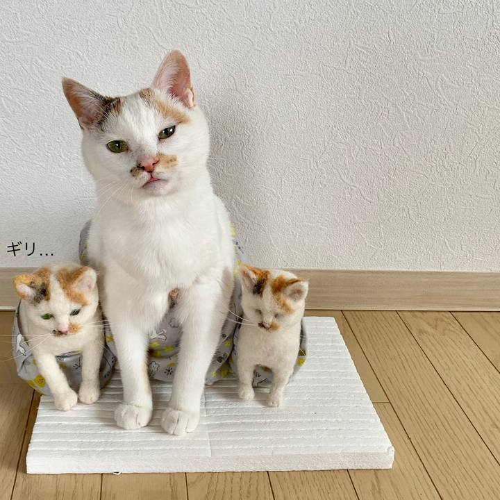 7cb11920 5a0d 4102 84eb 7ddaf2145091 1558240303404