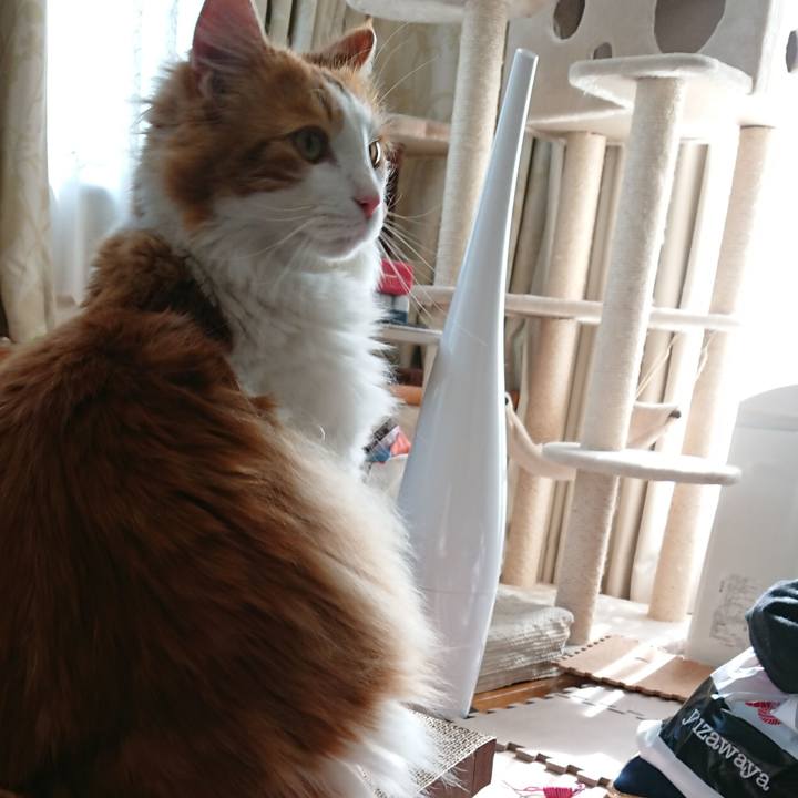 7cb12a02 162d 4f77 9b52 ee0dbdecab67 1519533025825