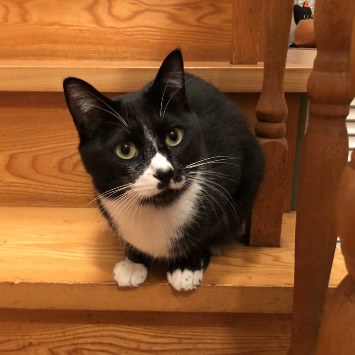 7cb1411b 88ab 418b a10e f15864285ac3 1542368809228