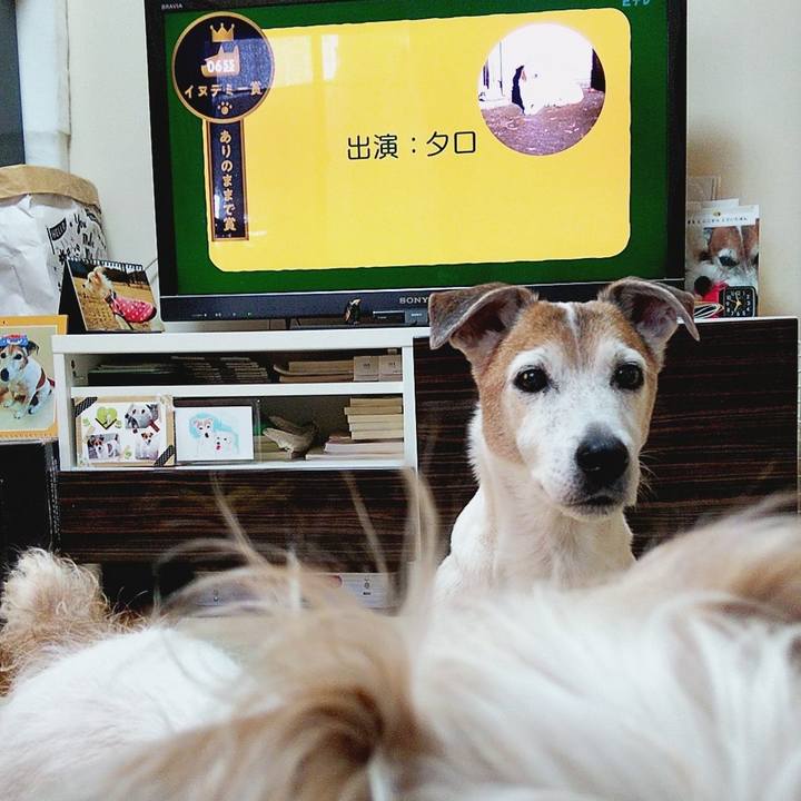 7cb15c7c 9ce7 443d b1dc d66e2dbb95d6 1583878798169