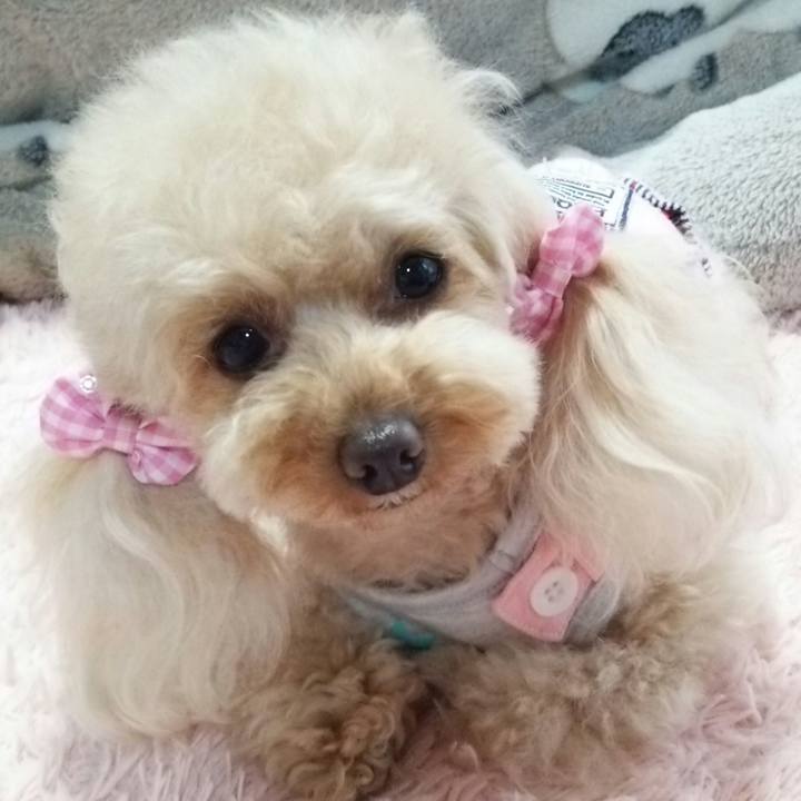 7cb19045 498d 4fa8 9524 57150b615220 1524472155274