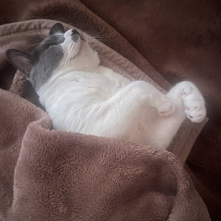 7cb1bf56 eca8 4ccb a1ea c103a9903113 1697667454547