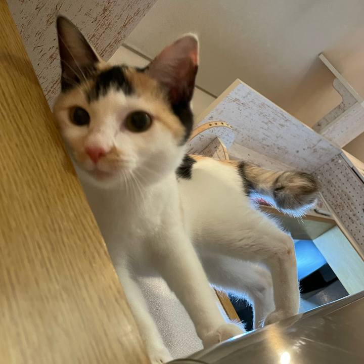 7cb1fddb aa39 44bb bf46 a99e3dbb7e9f 1669218727742