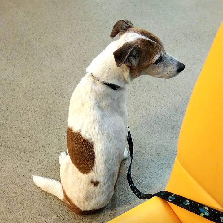 7cb21803 0ad7 4fca afc6 f8857aa20bd4 1556020809461