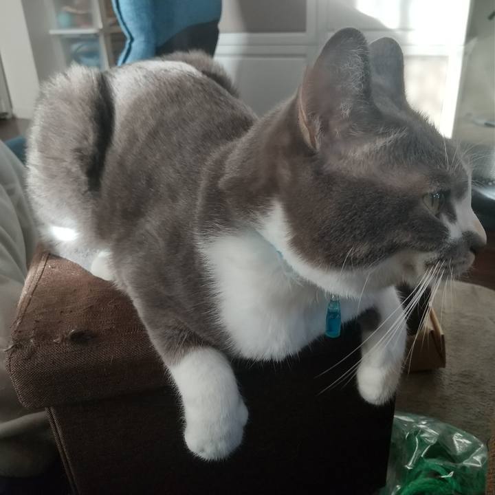 7cb23a13 3939 4d4b a7ba 324886ebfe71 1639225674193