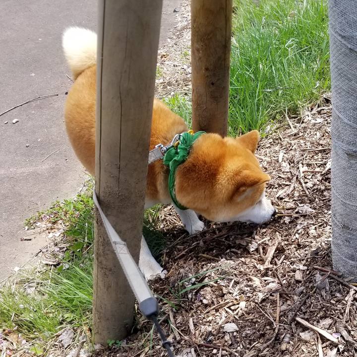 7cb26e14 1aef 4e36 a8a9 ca761a9ed6e2 1556849566376