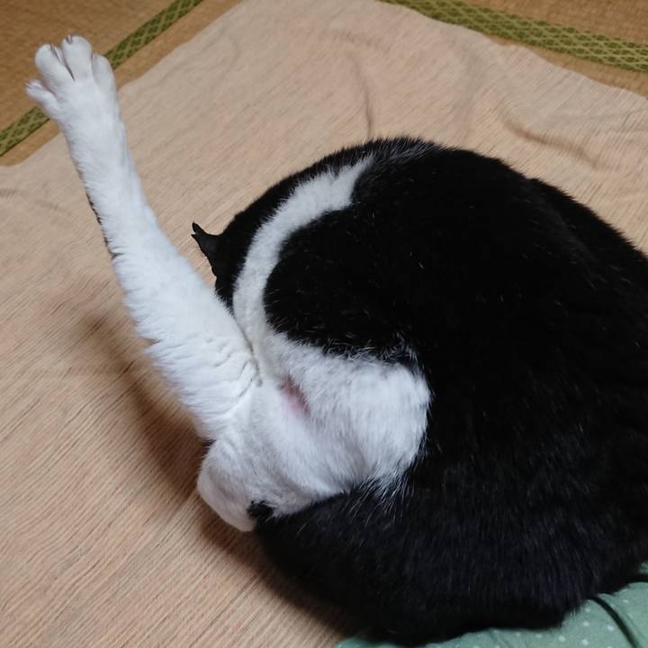 7cb27cb2 dd01 4107 954a aa9a62929522 1590579956992