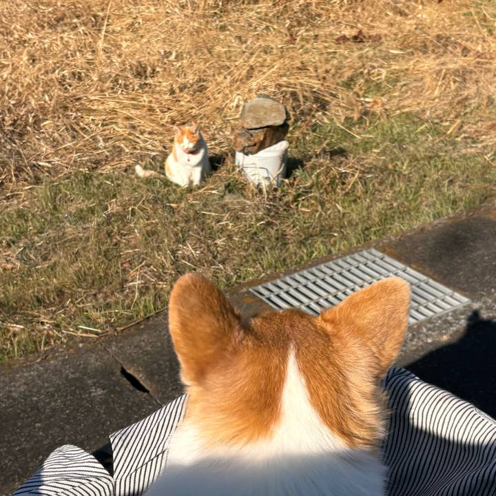 7cb29846 ab39 450b 8a21 9875544346e5 1766894328062