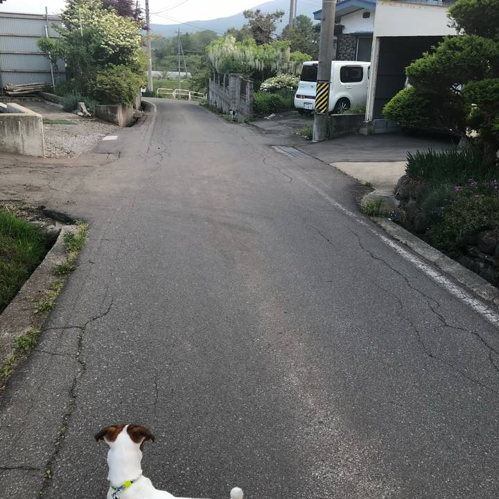 7cb299b6 ecaf 425a b1fb ebecda1cef0b 1526518927081