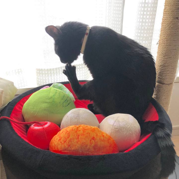 7cb2a6f1 c18c 424d 9695 469ba2f25ee9 1590987197963