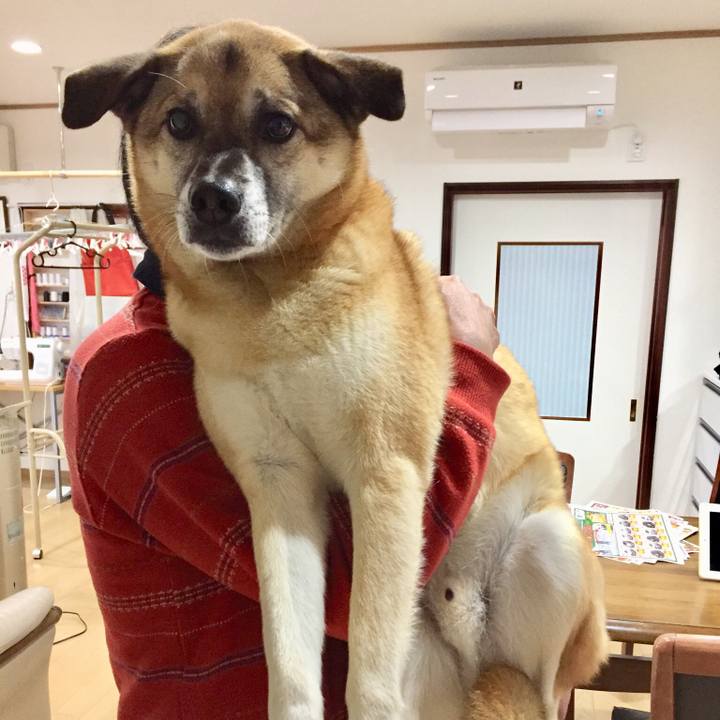 7cb2b1d8 fea8 4877 b359 e30d2c284d3b 1512724509661