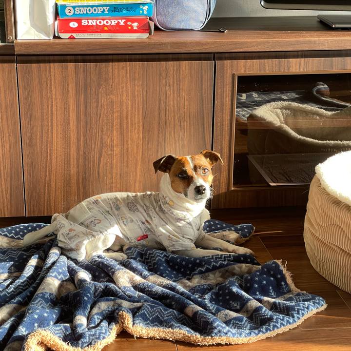 7cb2cb86 9fbc 418d a5ff a2c88af2d575 1646870190561