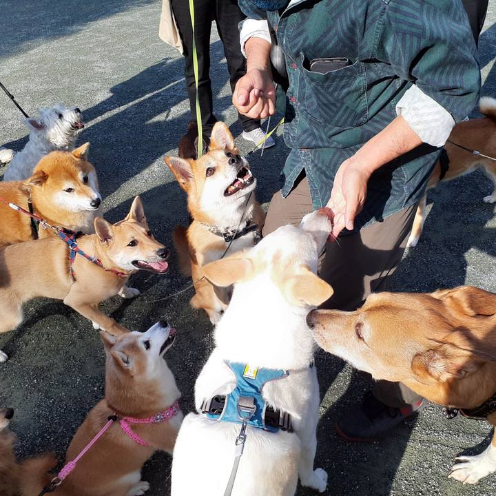 7cb2d121 cd05 4cc7 8d54 3501e715f834 1650953729729