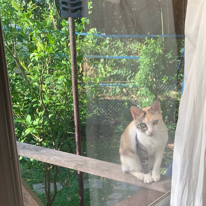 7cb2fa89 15fd 439b 8d76 5bb581086ee4 1691999175701