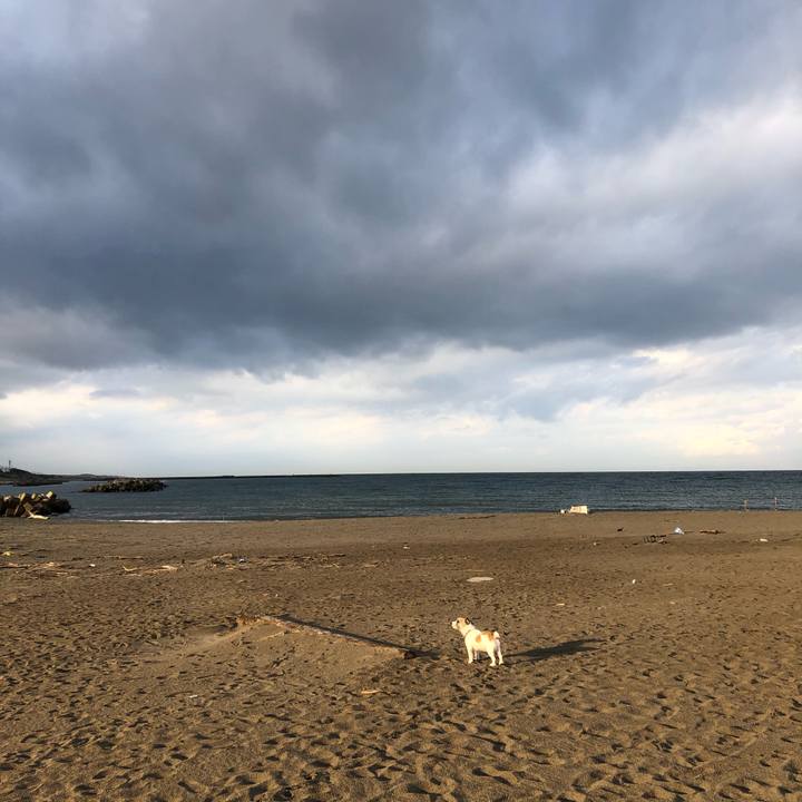 7cb2fc91 5e18 4e79 b523 204ad4a6a7e5 1605483396553