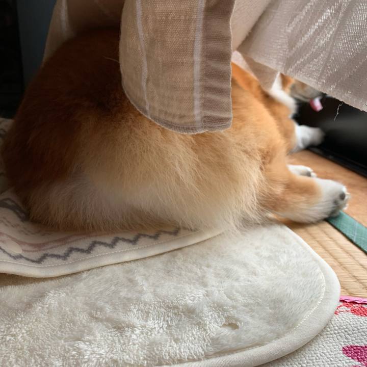 7cb32160 4031 40ca b25b 2841e0845c7b 1617583372577