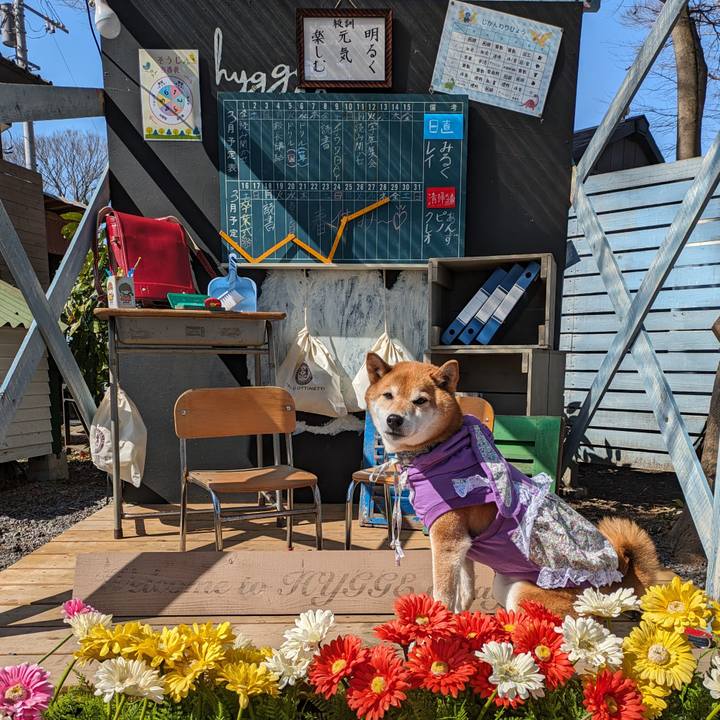 7cb3585b dc1b 4aa1 9da5 f4648261055a 1710137395975