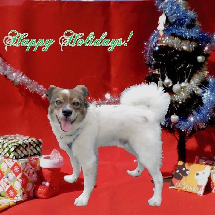 7cb3816e cf11 4bc8 a312 6ad1b1ced296 1513992712694