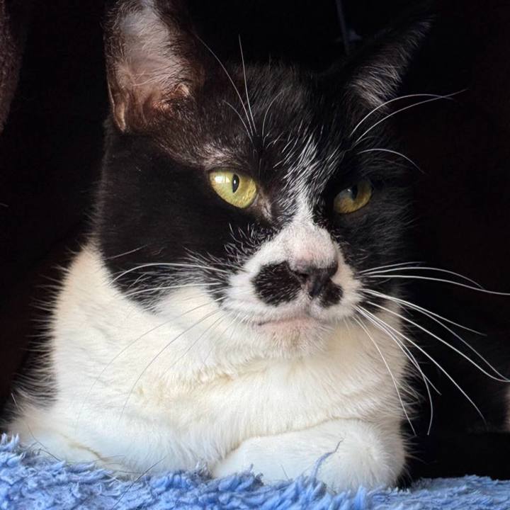 7cb3d7dd b8ab 4b02 90c0 49fed388e451 1767083207919