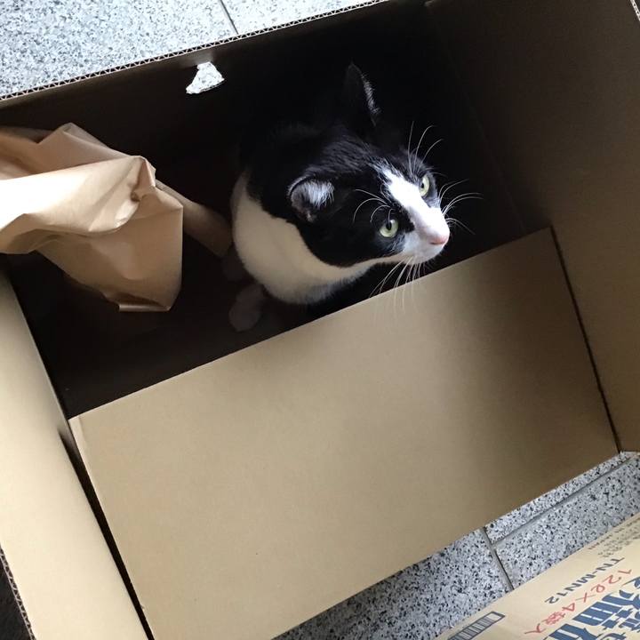 7cb3e9a8 eef9 4b9f 8685 995b9af28d16 1709787662181