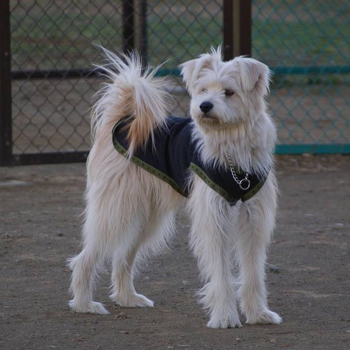 7cb4049f dc10 4aa1 ba3f 5724616c9227 1581071252722