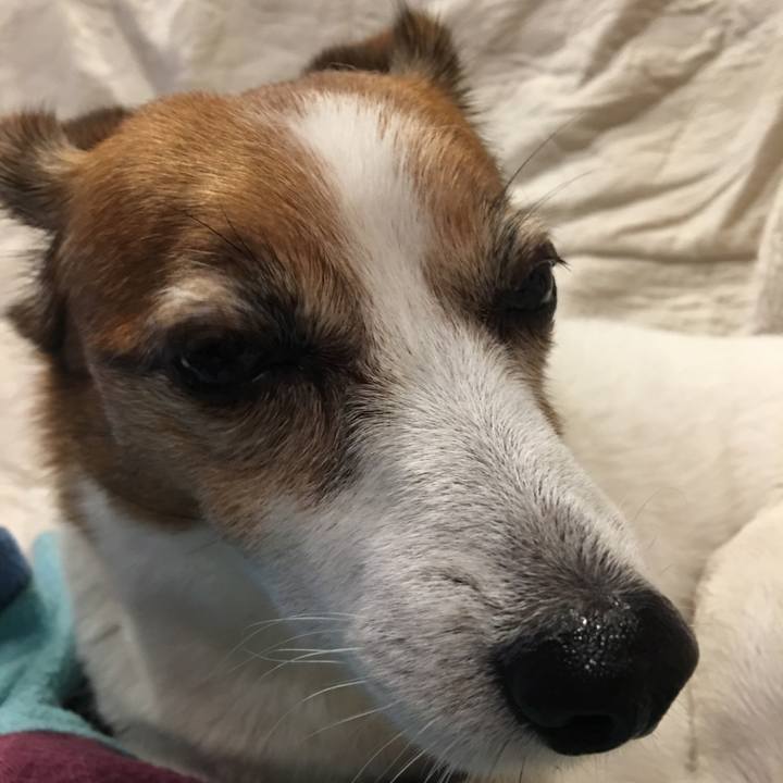 7cb4464c 3fa9 4571 ba1e a72a4515724e 1509277342741